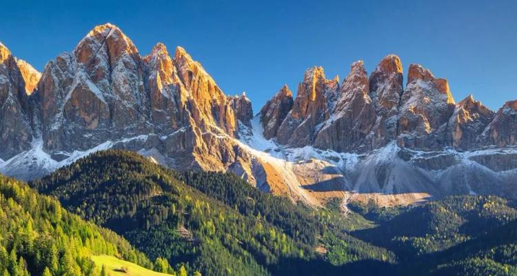 Des pics dentelés des Dolomites couronnés de neige s'élevant au-dessus de forêts alpines verdoyantes et de prairies sous un ciel bleu profond.