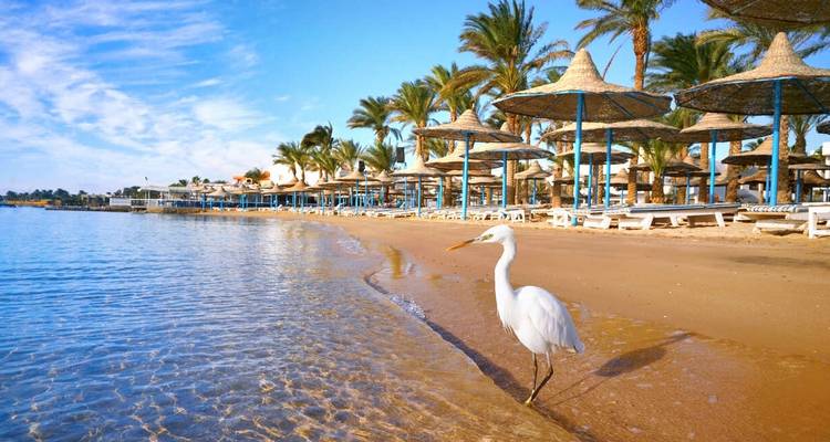 Égypte classique avec croisière sur le Nil + extension mer Rouge - Explore! 2