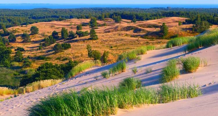 Des dunes de sable ondulantes parsemées de touffes d'herbe dominant la mer Baltique.