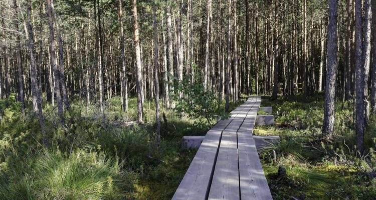 Walk Estonia, Latvia and Lithuania - Explore! 8
