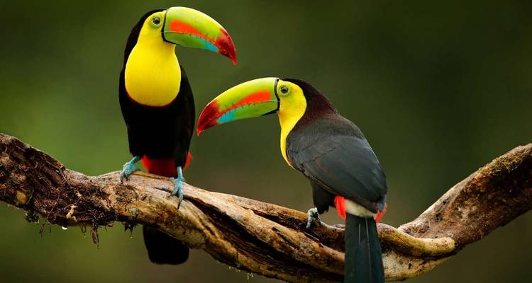 Aventure familiale au Belize - Explore! 4