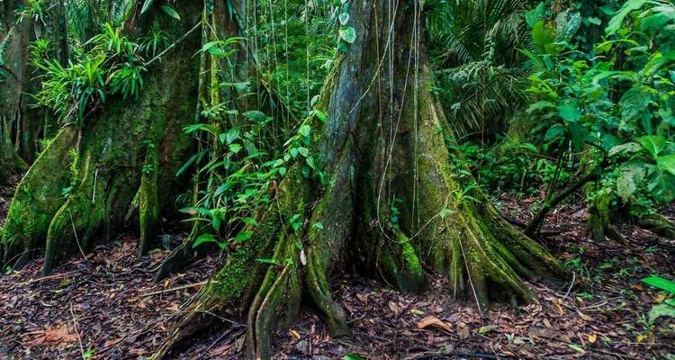 Aventure familiale au Belize - Explore! 2
