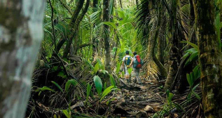 Family Costa Rica Rainforest and Wildlife Adventure - Explore! 8