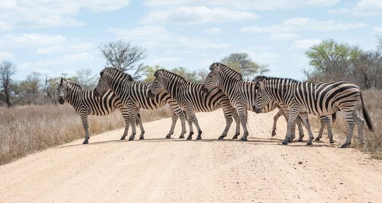 Family South Africa’s Garden Route and Safari - Explore! 10
