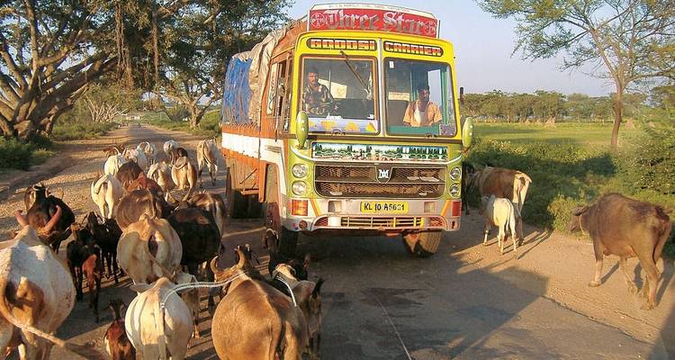 Aventure familiale dans le Triangle d'Or de l'Inde - Explore! 8