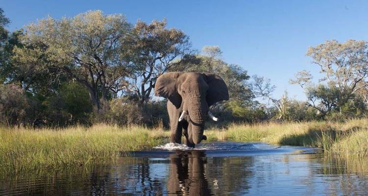 Safari familial au Botswana et au Zimbabwe - Explore! 6