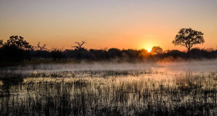 Safari familial au Botswana et au Zimbabwe - Explore! 8