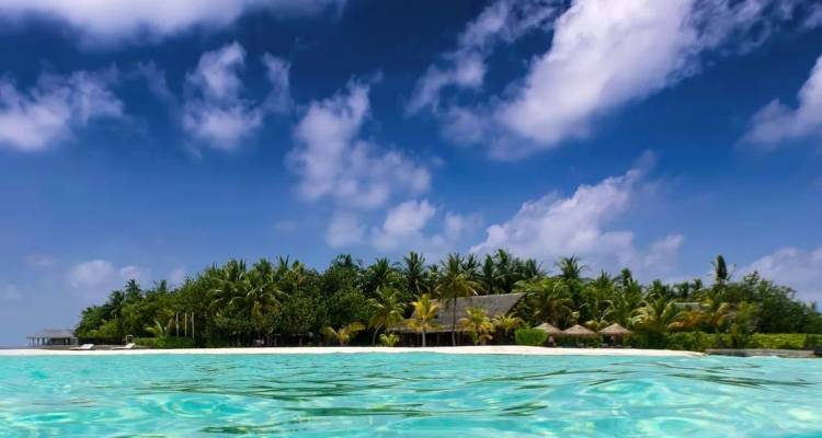 Lagon turquoise et île bordée de palmiers sous un ciel bleu éclatant aux Maldives.