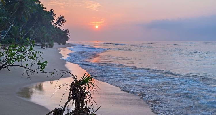 Le Sri Lanka en famille (côte ouest) - Explore! 8