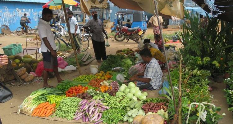 Le Sri Lanka en famille (côte ouest) - Explore! 7