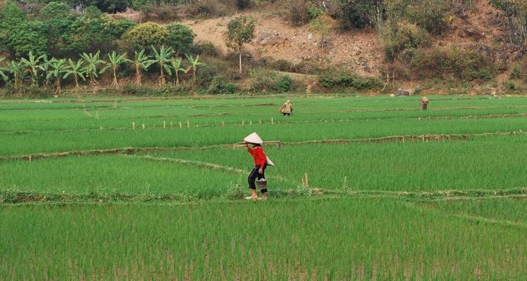 Family Vietnam In Depth - Explore! 9