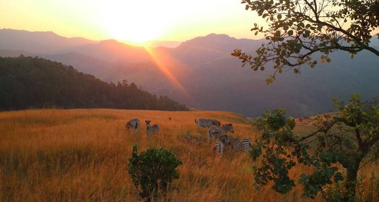 Aventure familiale en Afrique du Sud - safari et plage - Explore! 7