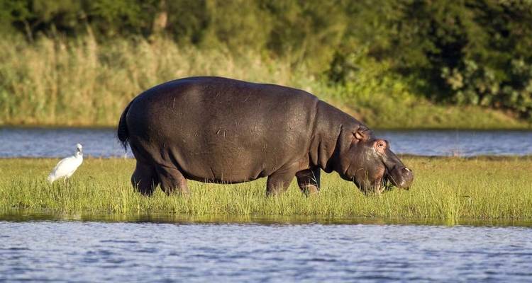 Aventure familiale en Afrique du Sud - safari et plage - Explore! 8