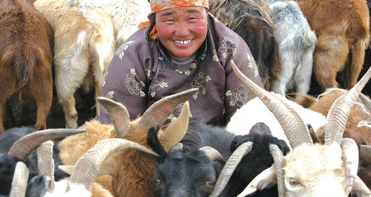 Exploration de la Mongolie - Explore! 4