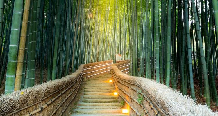 Japón a Fondo - Huellas del Shogun - Explore! 8
