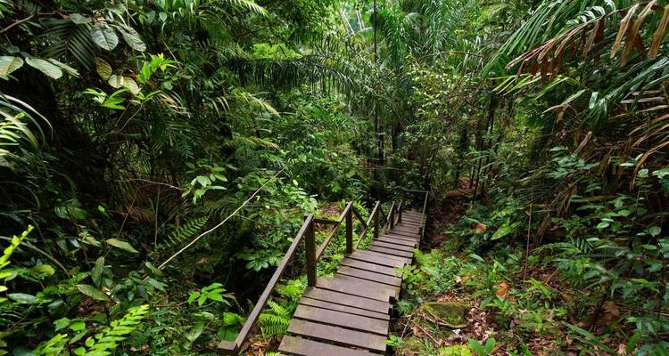 Kalimantan Adventure - Explore! 8