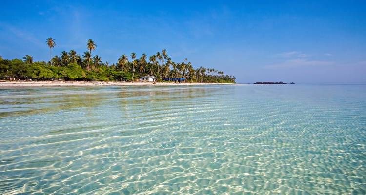 Aventure à Kalimantan - Explore! 10