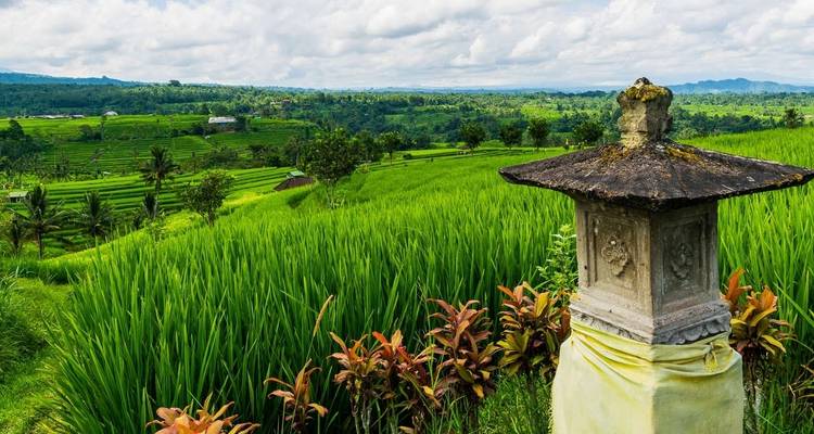 Java et Bali exotiques - Explore! 8