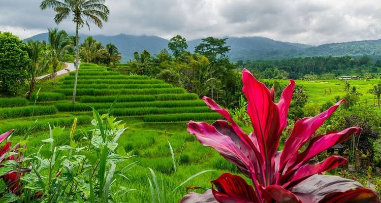 Java et Bali exotiques - Explore! 10