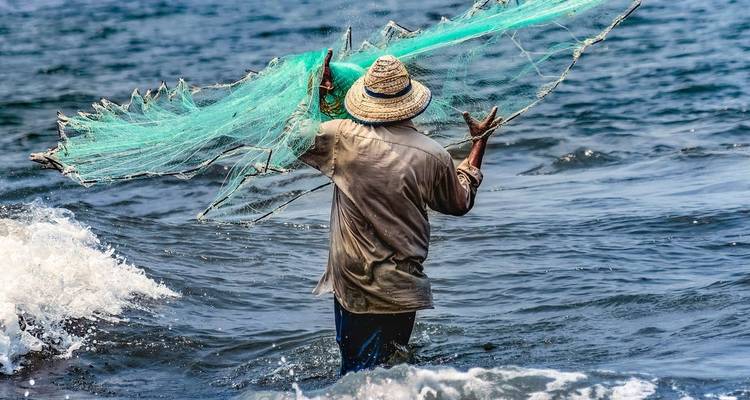 Kerala Backwaters + Kovalam Extension - Explore! 6