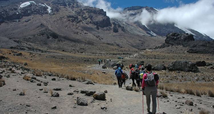 Kilimandjaro - Lemosho Trek - Explore! 2