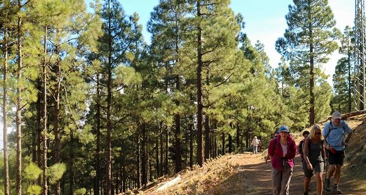 Trek dans les îles Canaries - Gran Canaria - Explore! 10