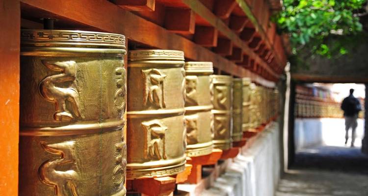 Discover India's Little Tibet (Hemis Festival) - Explore! 6