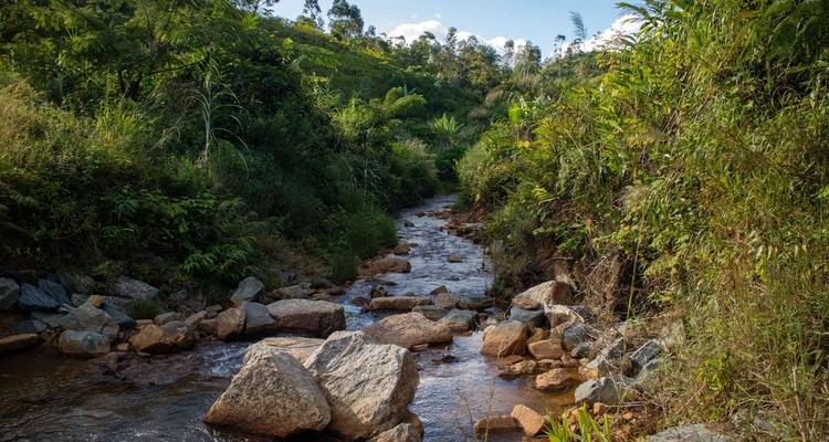 Trek dans la nature à Madagascar - Explore! 9