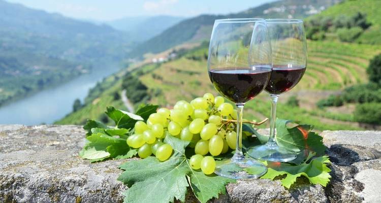 Treks et dégustations de vins en Espagne et au Portugal - Explore! 1