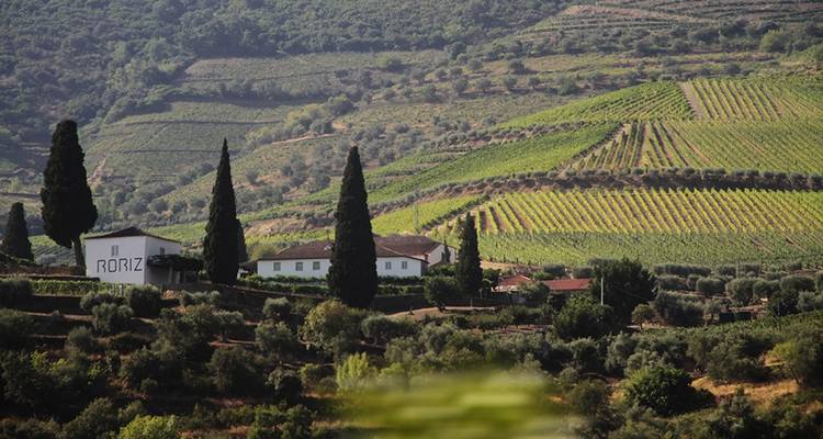 Treks et dégustations de vins en Espagne et au Portugal - Explore! 10