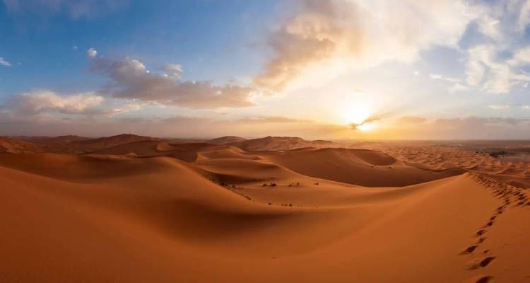 Les dunes de sable doré sans fin du désert du Sahara illuminées par un soleil couchant.