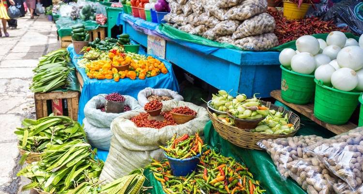 A Taste of Mexico - Markets and Mayan Sites - Explore! 3
