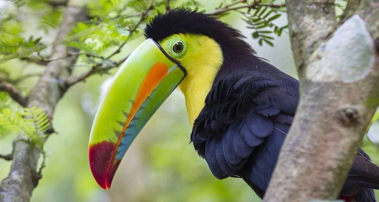 Trek au Costa Rica et au Nicaragua - Explore! 3