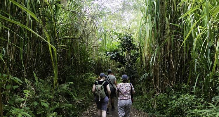 Trek au Costa Rica et au Nicaragua - Explore! 9