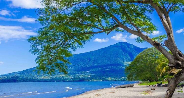 Plage sereine du lac du Nicaragua encadrée par un arbre feuillu avec un volcan boisé s'élevant en arrière-plan.