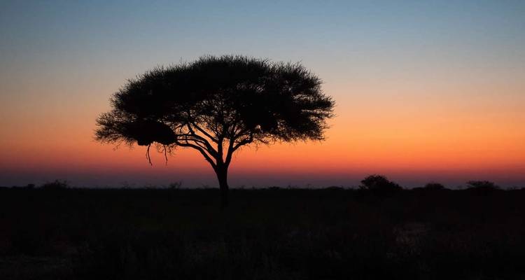 Safari en lodge en Namibie - Explore! 3