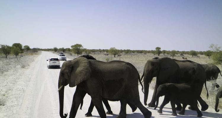 Safari en lodge en Namibie - Explore! 8