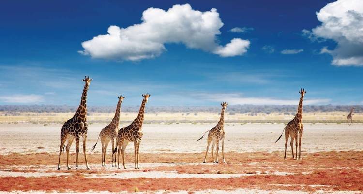 Safari en lodge en Namibie - Explore! 1
