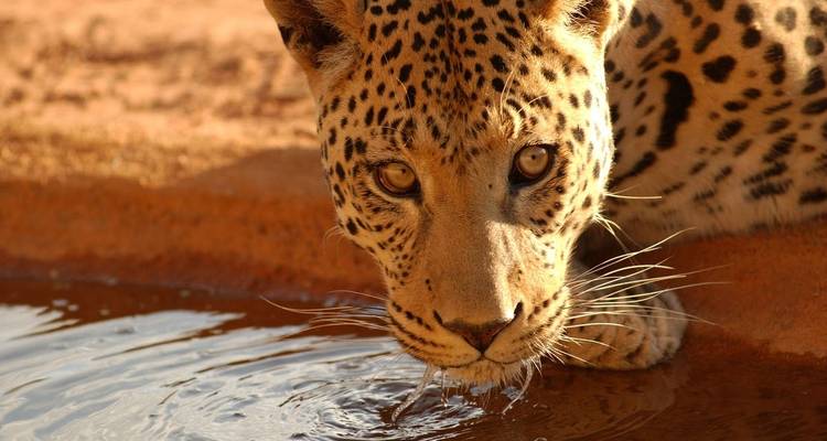 Safari en lodge en Namibie - Explore! 9