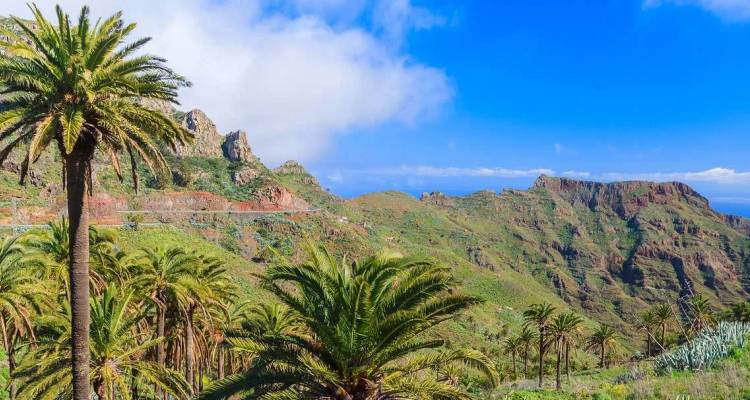 Los valles verdes salpicados de palmeras y los acantilados escarpados se bañan bajo un cielo azul brillante en la isla de La Gomera.