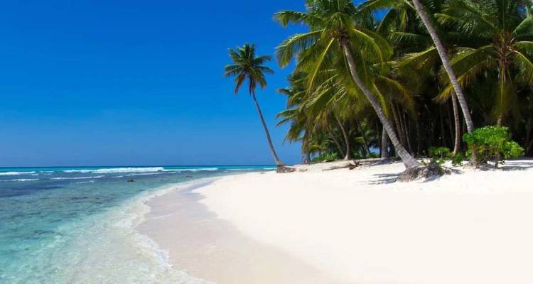 Unberührter weißer Sandstrand in den Tropen, umgeben von türkisfarbenem Wasser und schiefen Palmen unter strahlend blauem Himmel auf den Philippinen.