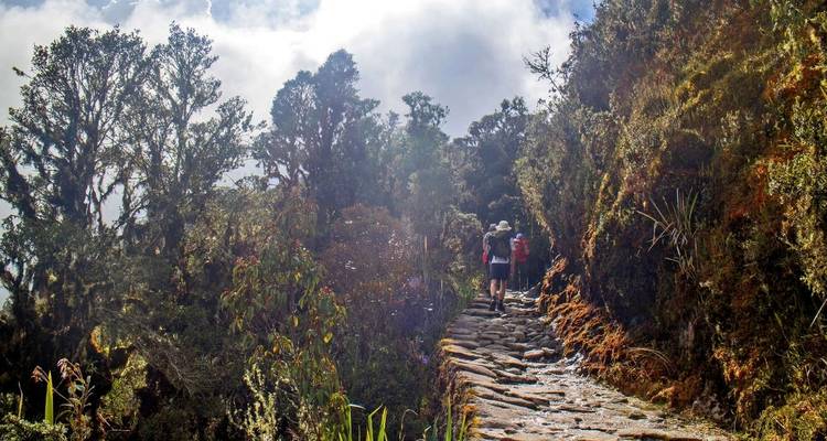 Trek du Chemin de l'Inca - Explore! 3