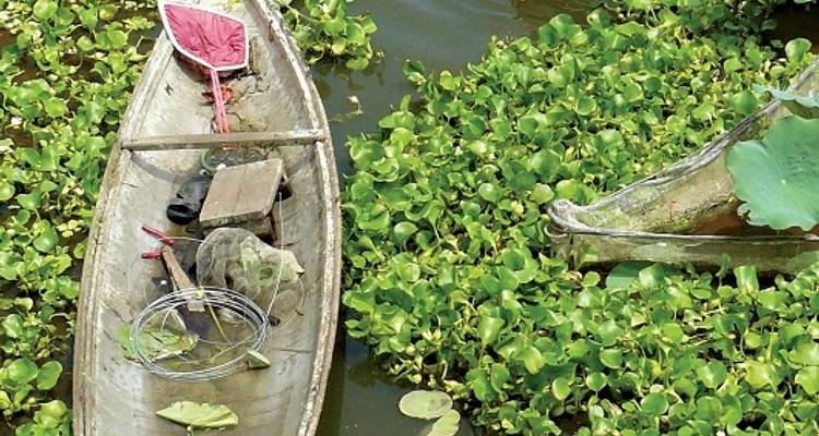 Tout simplement le Vietnam - Explore! 9