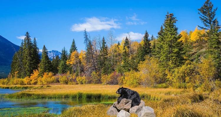Canadian Rockies and Pacific Coast (Calgary To Vancouver) - Explore! 10