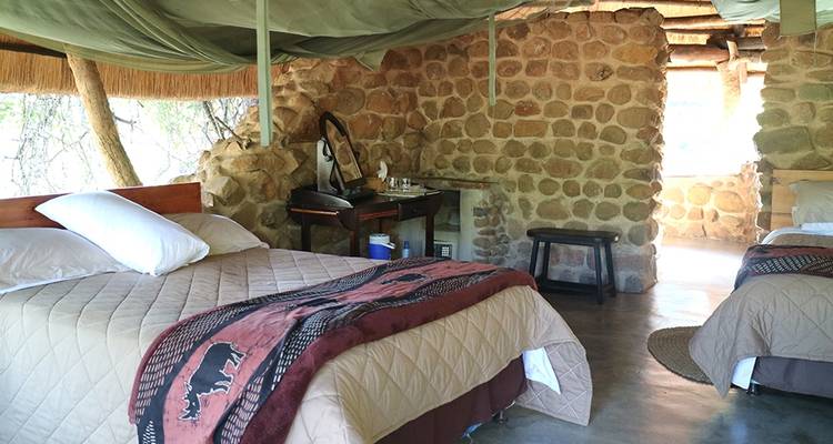 Afrique du Sud Lodge Safari - Explore! 10