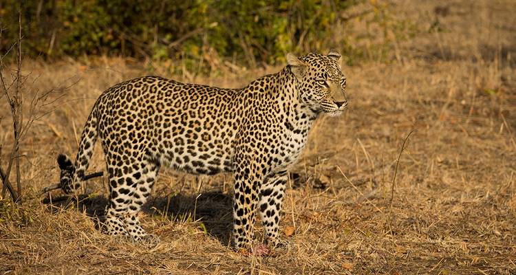 Les incontournables de l'Afrique du Sud - Explore! 3