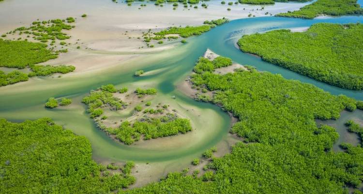 Senegal and The Gambia - Explore! 8