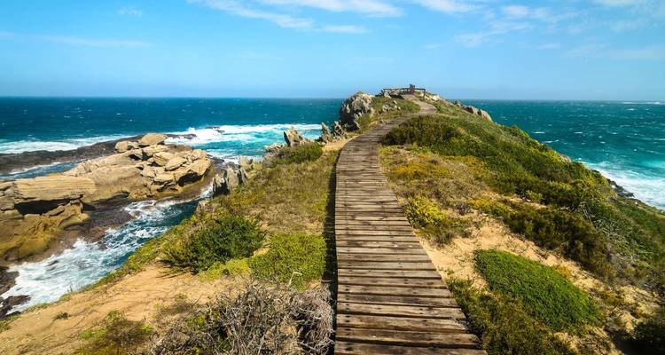 La route des jardins en Afrique du Sud - Explore! 7