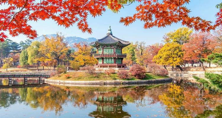 South Korea Explorer - Explore! 8