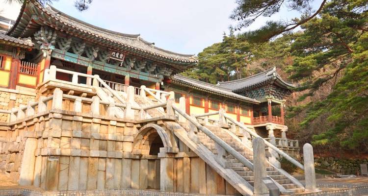 South Korea Explorer - Explore! 5